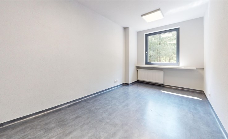 lokal na wynajem - Katowice