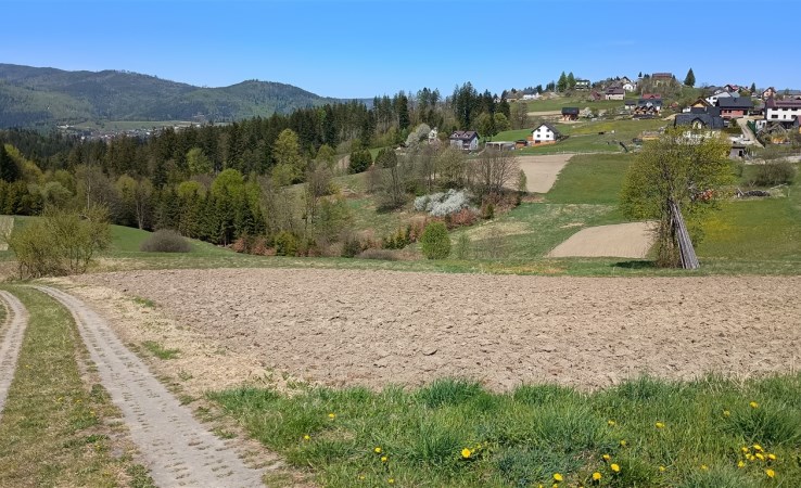 działka na sprzedaż - Istebna, Jaworzynka