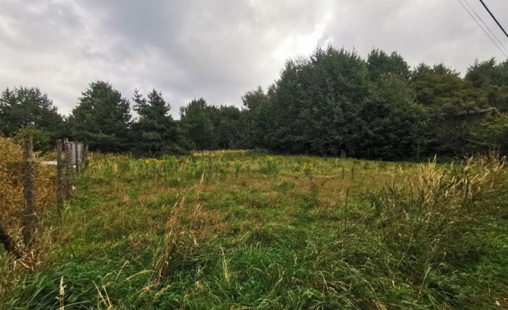 działka na sprzedaż - Sosnowiec, Klimontów